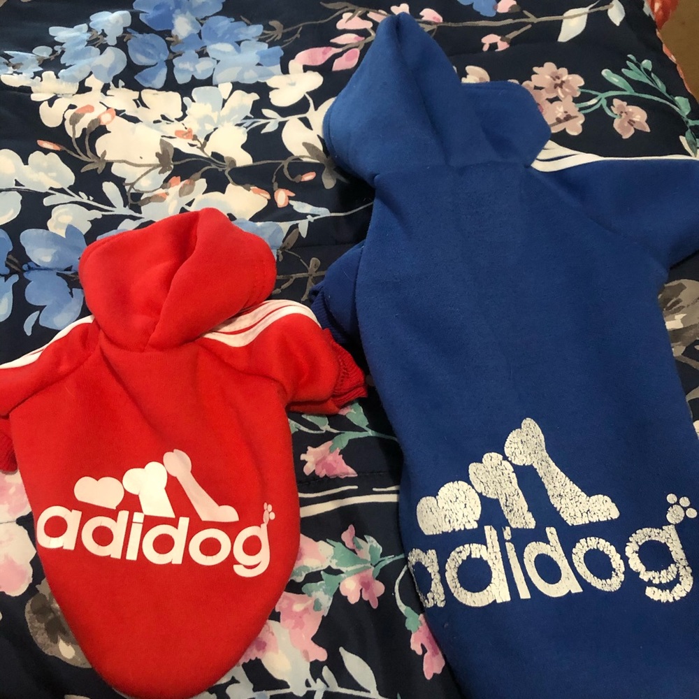 Dog clothes only blue one!